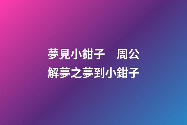 夢見小鉗子　周公解夢之夢到小鉗子